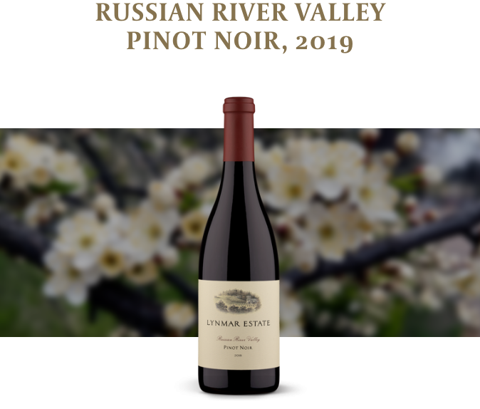 Russian River Valley Pinot Noir, 2019