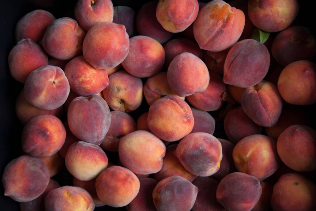 A pile of whole, ripe Sonoma peaches with reddish-orange skin, some showing light fuzz and natural blemishes.