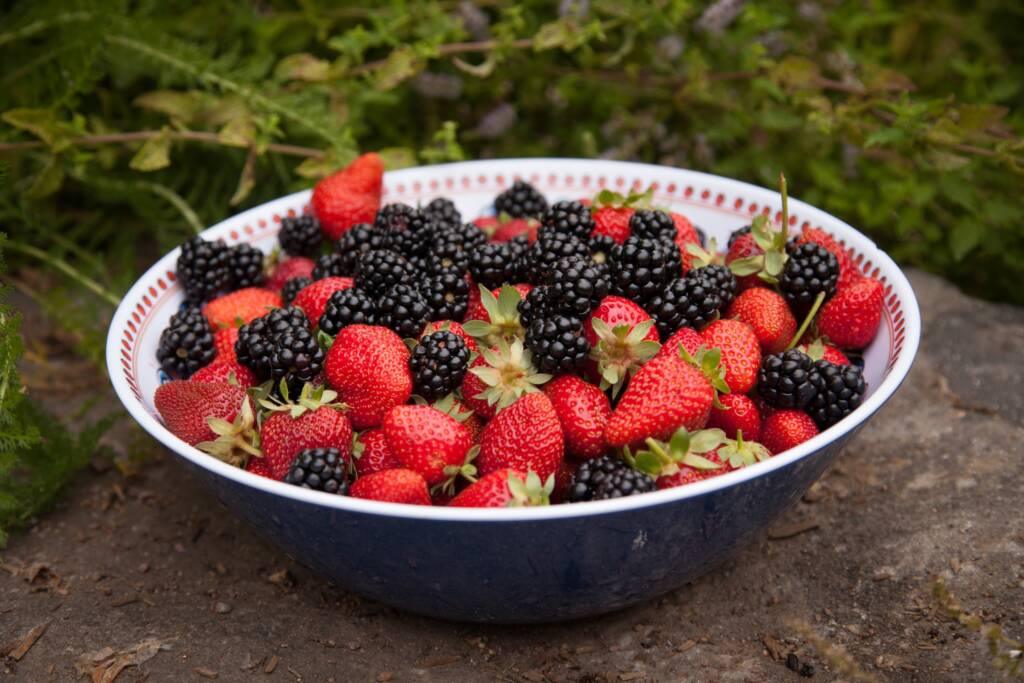 A bowl filled with fresh strawberries and blackberries sits on a stone surface outdoors, perfect for a light lunch or a refreshing snack during wine tasting near the Russian River, with green plants in the background.