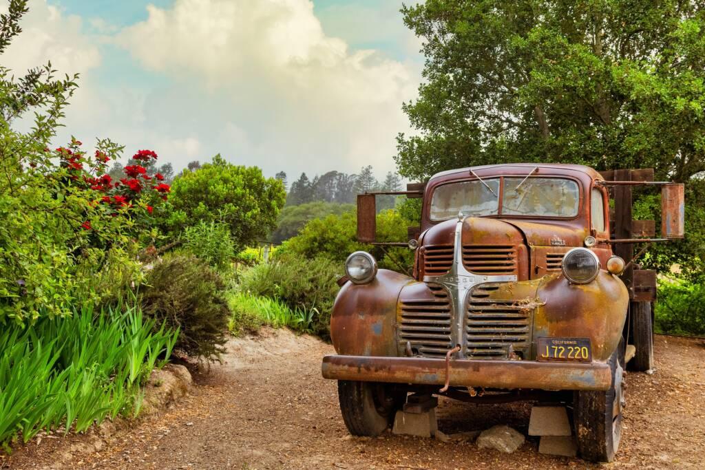 An old, rusty pickup truck with a California license plate sits on a dirt path in Sonoma, surrounded by green bushes, trees, and red flowers—perfect scenery for a picnic lunch and a bottle of Pinot Noir under a partly cloudy sky.